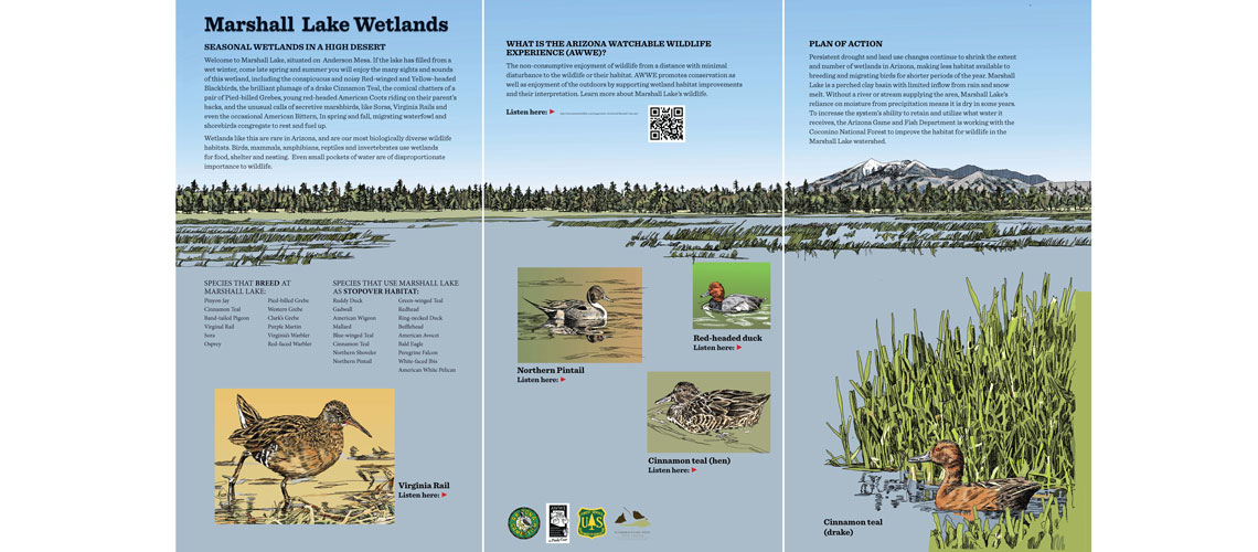 Interpretive signs for Marshall Lake