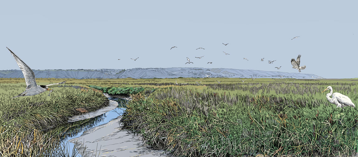 Tijuana-Slough-panorama-detail