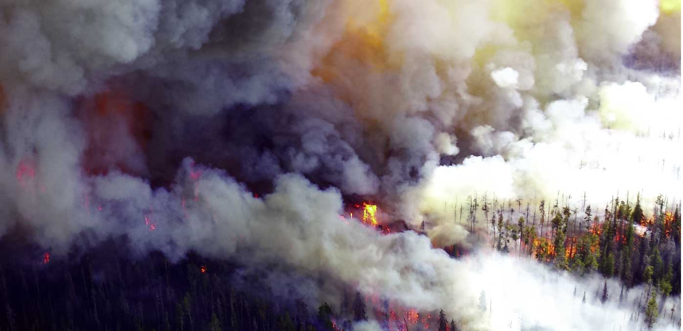 Yellowstone in a Day book