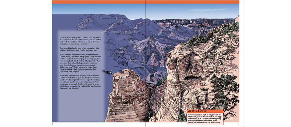 Grand Canyon Condor book