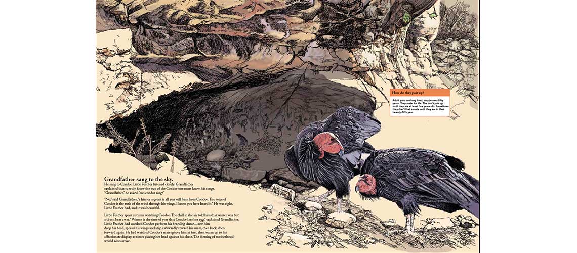 Grand Canyon Condor book