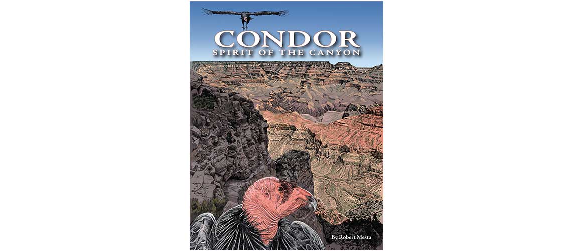 Grand Canyon Condor book