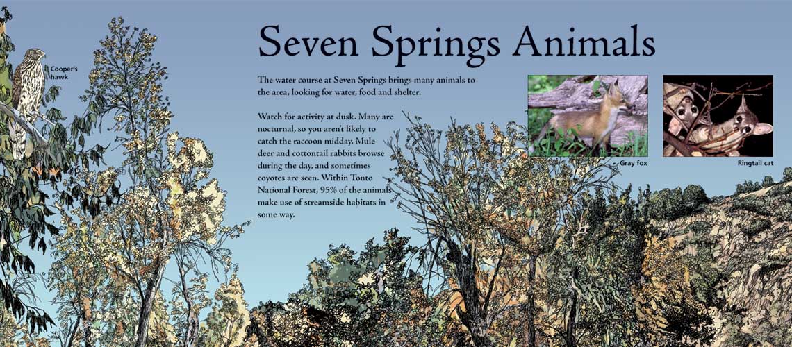 Seven Springs, Tonto National Forest, Interpretive Panels