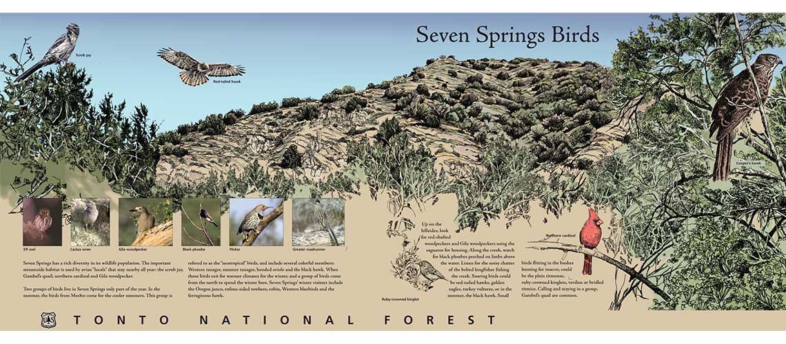 Seven Springs, Tonto National Forest, Interpretive Panels