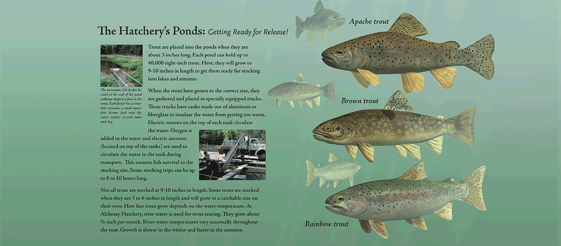 Seven Springs, Tonto National Forest, Interpretive Panels